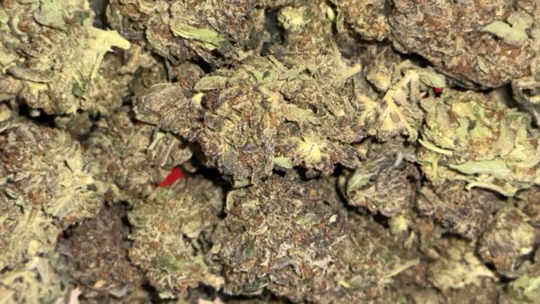 Durban Poison THCa Flower - Image 3