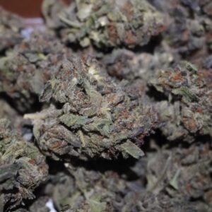 Durban Poison THCa Flower