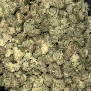 Gelato #41 THCa Flower