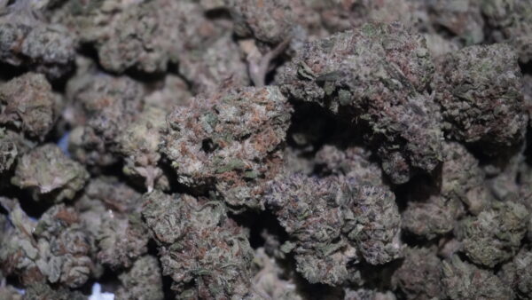 Gorilla Glue THCa Flower - Image 2