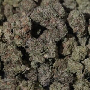 Gorilla Glue THCa Flower