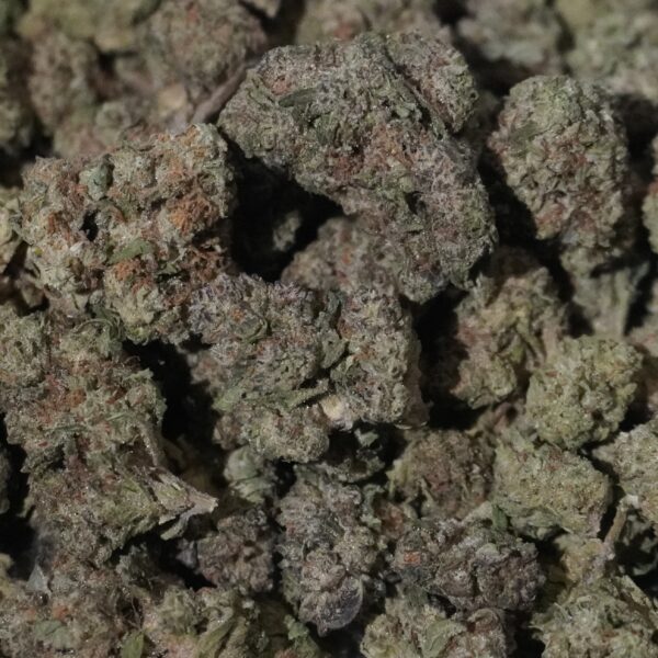 Gorilla Glue THCa Flower
