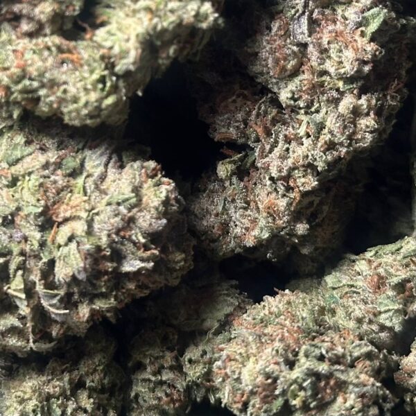 Rainbow Sherbet #11 THCa Flower